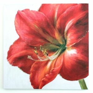 Obraz na plátne Red flower