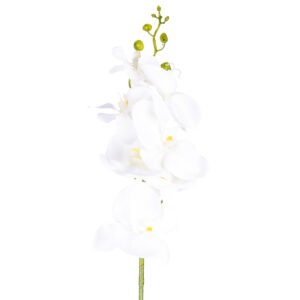 Umelá Orchidea čisto biela